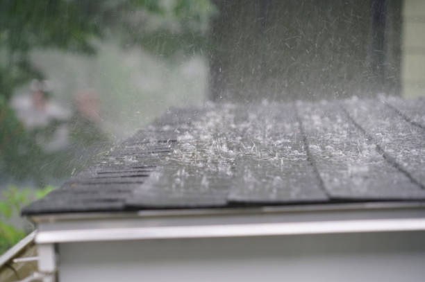 Best Roof Installation  in Kalona, IA