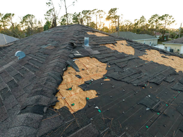 Best Wood Shake Roofing  in Kalona, IA