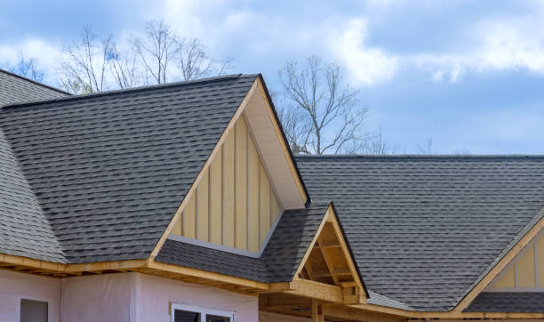 Best Asphalt Shingle Roofing  in Kalona, IA