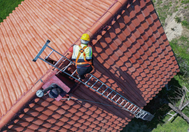 Best Asphalt Shingles Roofing  in Kalona, IA